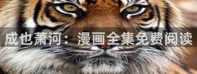 女神漫画网站入口